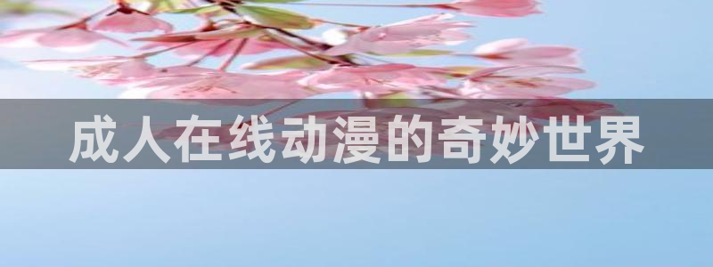 age动漫官方正版入口