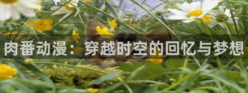 age动漫官网在线下载