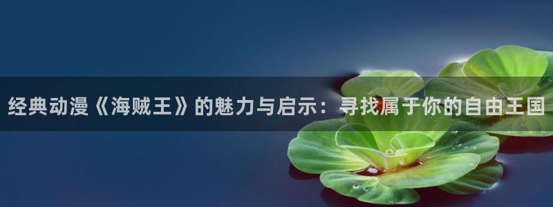 age动漫ios：经典动漫《海贼王》的魅力与启示：寻找属于你的自由王国