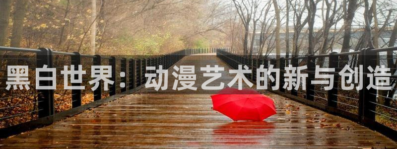 动漫age动漫：黑白世界：动漫艺术的新与创造