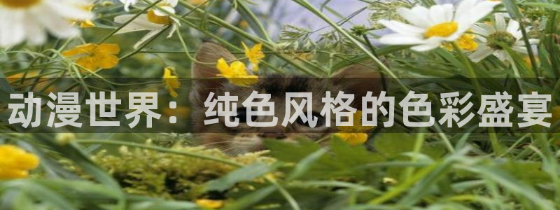 age动漫动画免费的：动漫世界：纯色风格的色彩盛宴