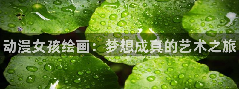 age动漫大全：动漫女孩绘画：梦想成真的艺术之旅