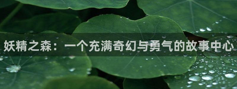 age动漫动画官方