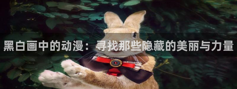 age动漫网址：黑白画中的动漫：寻找那些隐藏的美丽与力量