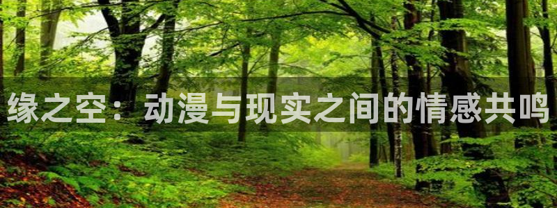 age动漫动画官网：缘之空：动漫与现实之间的情感共鸣