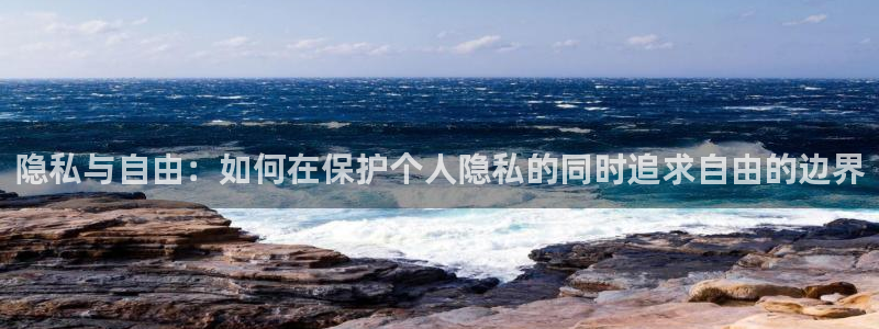动漫age动漫：隐私与自由：如何在保护个人隐私的同时追求自由的边界